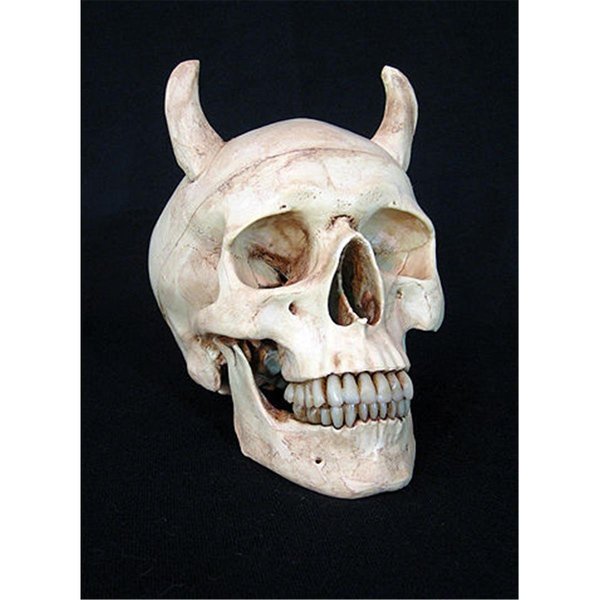 Perfectpretend Aged Devil Skull with 2 in. horn PE1413038